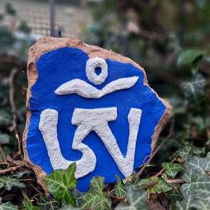 May include: A blue painted rock with a white Om symbol painted on it. The rock is surrounded by green ivy.