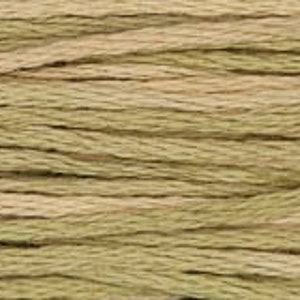May include: A close-up view of multiple strands of twisted embroidery thread arranged horizontally. The thread features a variegated color palette consisting of alternating shades of muted olive green and light beige, creating a textured appearance.