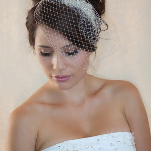 Wedding Birdcage Veil with Crystal rhinestone applique VI04. image 3