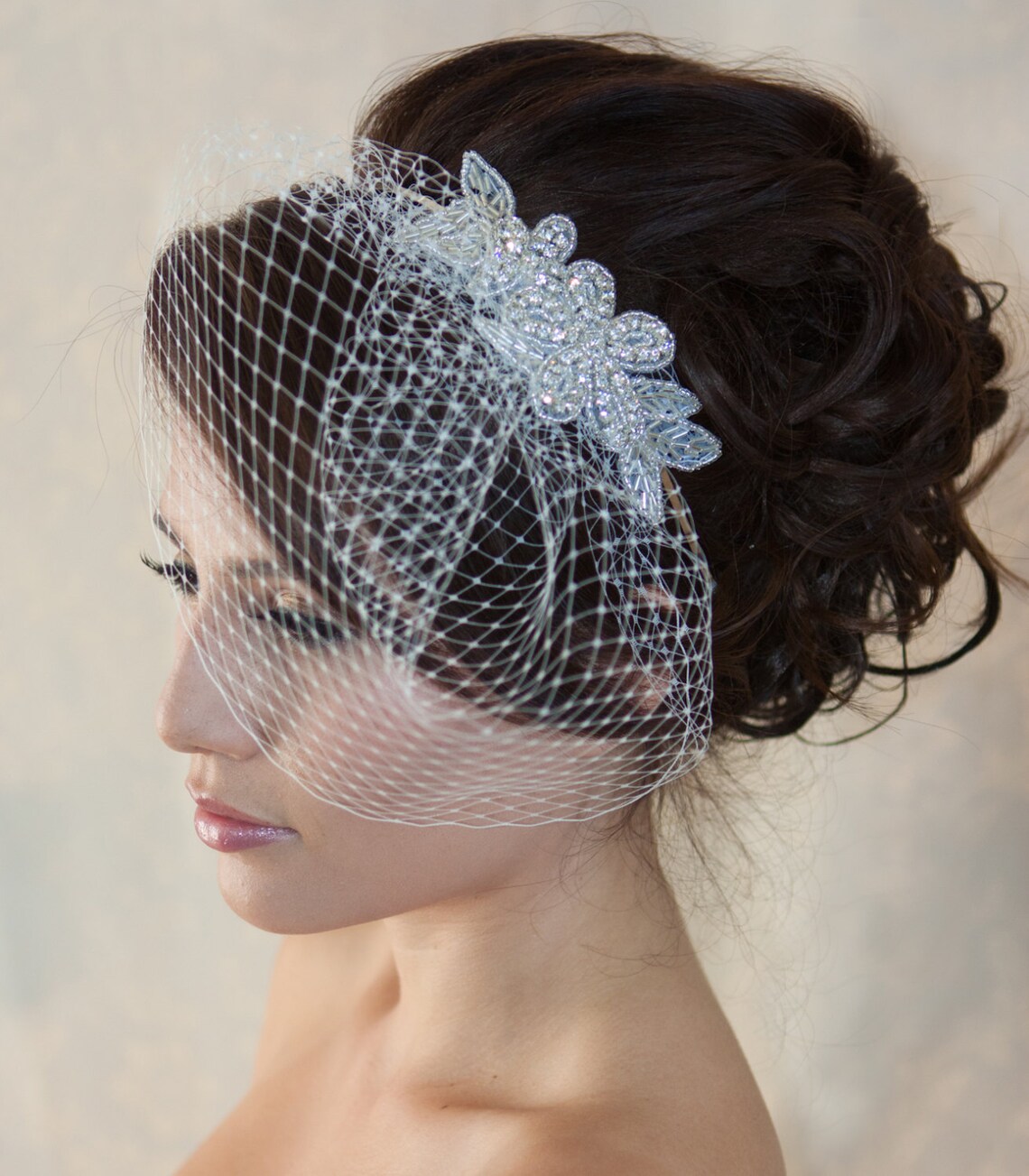 Wedding Birdcage Veil With Crystal Rhinestone Applique VI04. Etsy