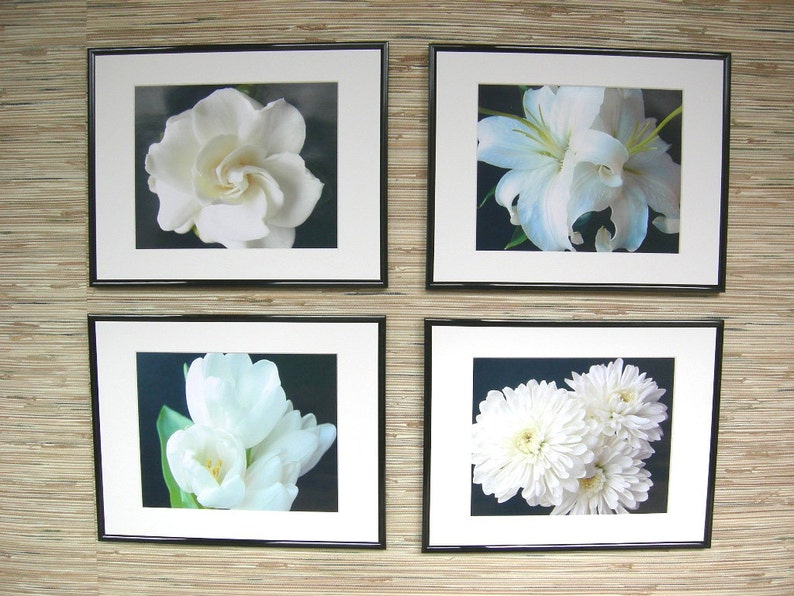 White Lilies Fine Art Photograph, Nature Photography image 4