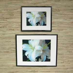 White Lilies Fine Art Photograph, Nature Photography image 3