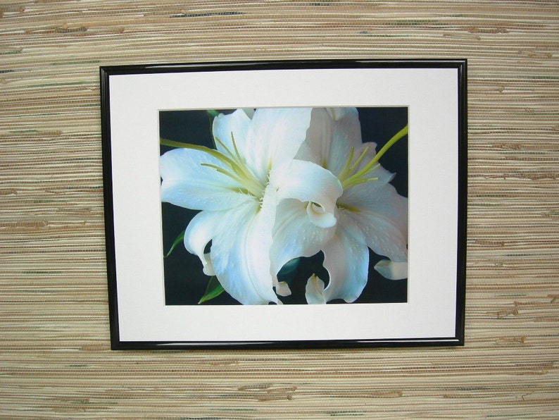 White Lilies Fine Art Photograph, Nature Photography image 2