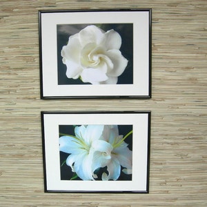 White Lilies Fine Art Photograph, Nature Photography image 5