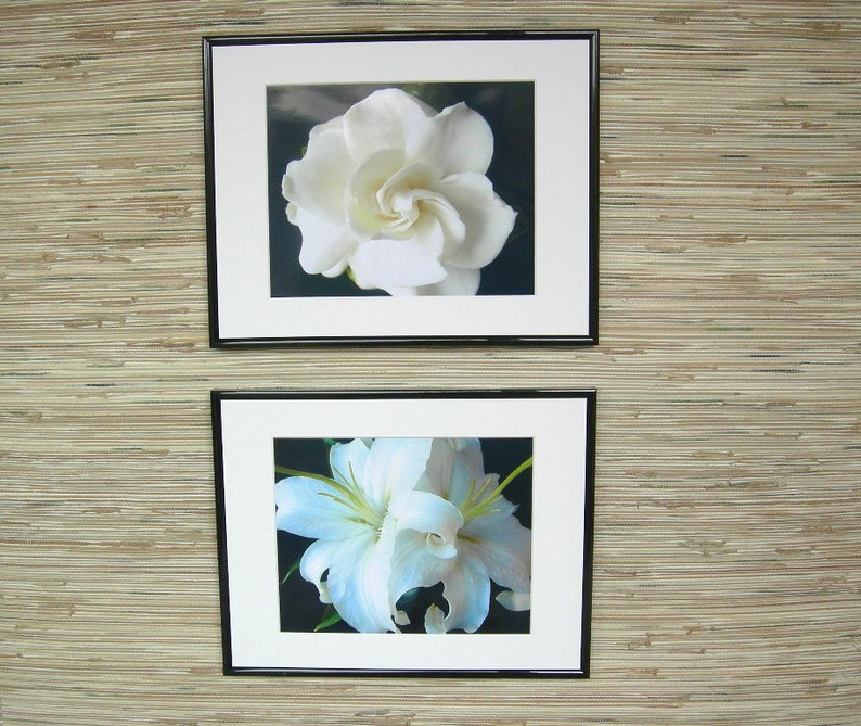 White Lilies Fine Art Photograph, Nature Photography image 5