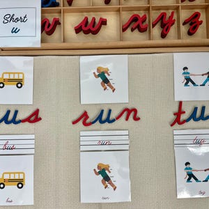 Tarjetas de nomenclatura de la vocal corta "u"