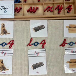 Tarjetas de nomenclatura de la vocal corta "o"