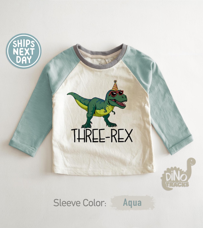 May include: A long-sleeved aqua and cream-colored shirt with a graphic of a green dinosaur wearing sunglasses and a party hat. The text "THREE-REX" is below the dinosaur. The shirt has a gray neckline.