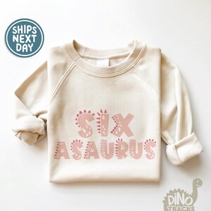 May include: A beige sweatshirt with a pink dinosaur-themed graphic that says "Sixasaurus".