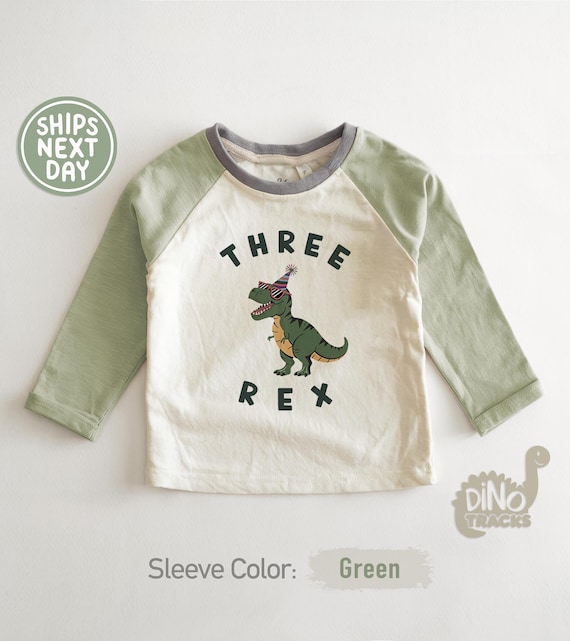 Boys 3rd Birthday Toddler Shirt - Dinosaur Birthday Shirt for 3 Year Old - Third Birthday Gift - Three Rex T-Rex Tee