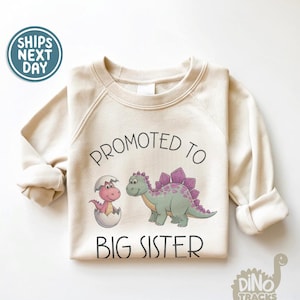 May include: Cream-colored sweatshirt with the text "PROMOTED TO BIG SISTER" and a graphic of two dinosaurs. One dinosaur is hatching from an egg, and the other is a green Stegosaurus with purple plates. The sweatshirt has long sleeves.