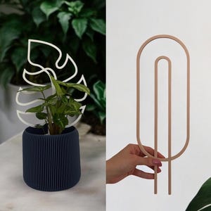 Könnte beinhalten: Drei Pflanzenstützen in modernem Design. Die Stützen haben die Form eines Monstera-Blattes, eines gebogenen Bogens und einer wellenförmigen Linie. Jede Stütze befindet sich in einem marineblauen, gerippten Pflanzgefäß mit einer kleinen Pflanze.
