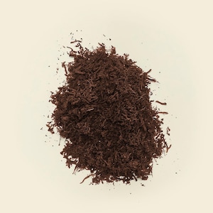 Fibra de helecho arborescente de Nueva Zelanda