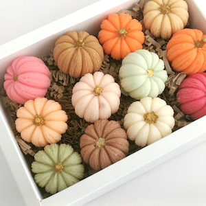 Peut inclure: Une boîte rectangulaire blanche contenant douze petits objets ronds et côtelés en forme de citrouille, déclinés en rose, orange, beige, blanc et vert. Chaque citrouille présente un petit détail doré au centre de sa partie supérieure.