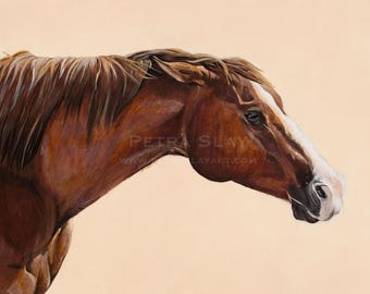 Equine Wall Art