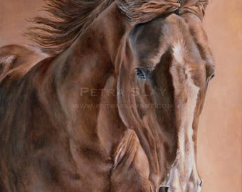 Equine Wall Art