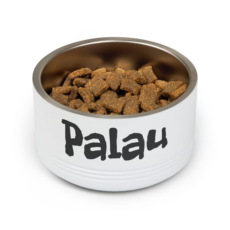 Customizable Stainless Steel Pet Bowl, 18oz, Double-Wall Insulated, SCUBA Flag Dog Dish image 3