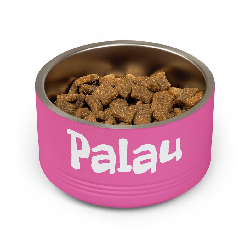 Customizable Stainless Steel Pet Bowl, 18oz, Double-Wall Insulated, SCUBA Flag Dog Dish image 12
