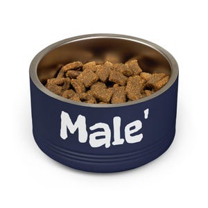 Customizable Stainless Steel Pet Bowl, 18oz, Double-Wall Insulated, SCUBA Flag Dog Dish image 10