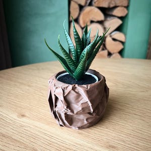 May include: A small succulent plant in a brown, textured ceramic pot. The pot has a crumpled paper-like design.