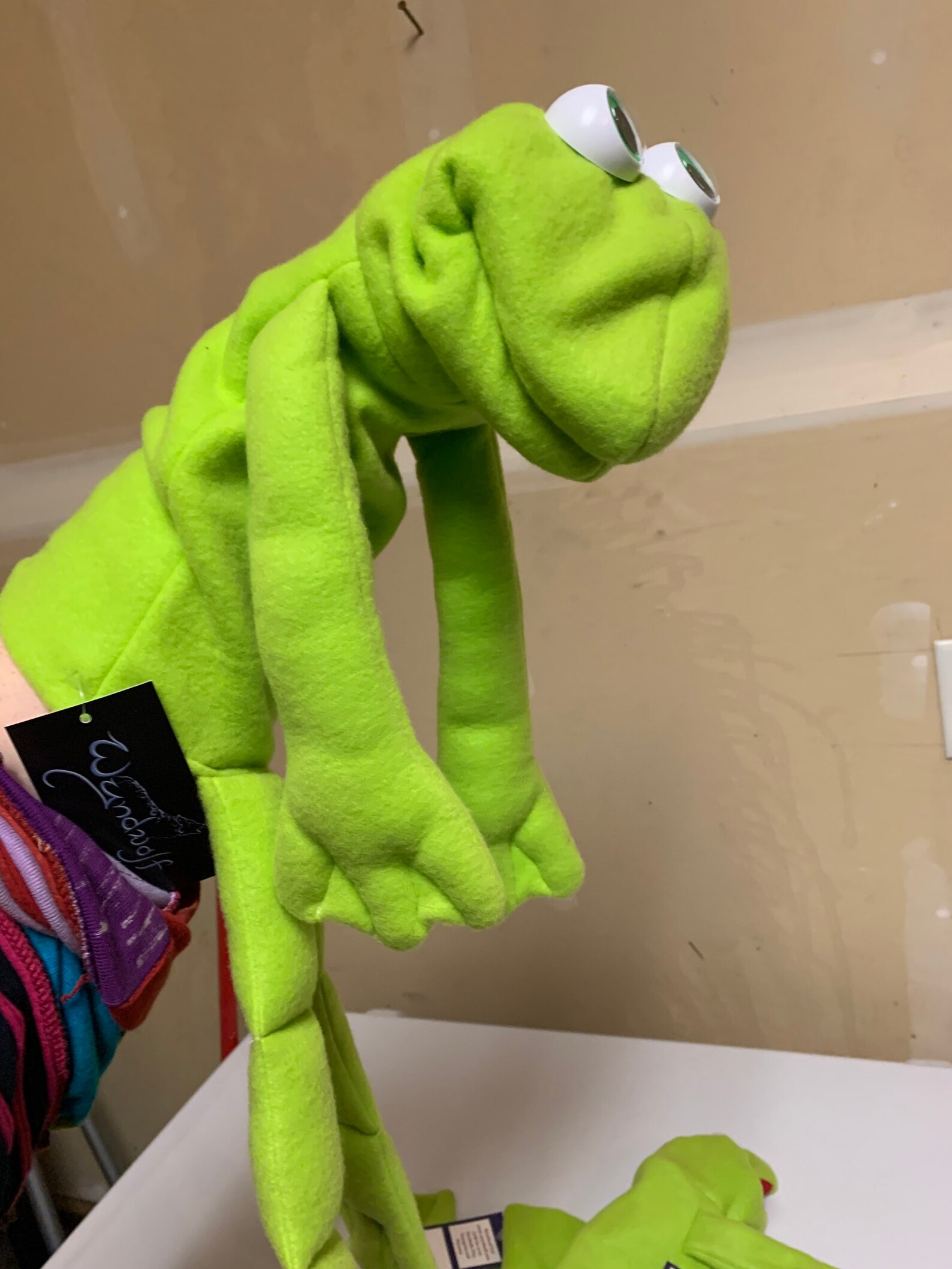 Frog Hand Puppet