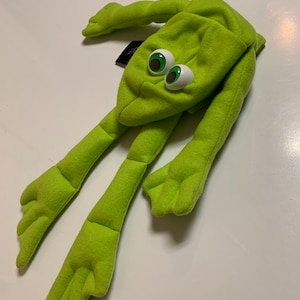 May include: A green felt puppet frog with large googly eyes. The frog has long arms and legs.