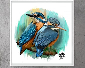 Kingfisher Illustration