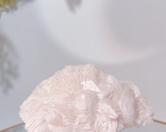 May include: A light pink mineral specimen with a layered, textured appearance, displayed on a clear acrylic stand with gold-colored metal accents. The background is a soft white with a blurred floral element.