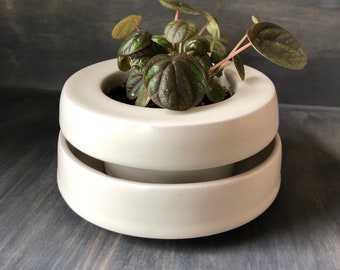 Satin White Porcelain  Banded Planter, 2.75 inches