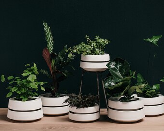 Satin White Porcelain  Banded Planter, 3.75 inches