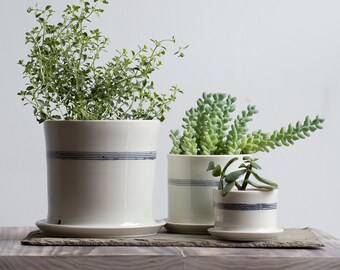 Trio of Porcelain Striped Planters with Attached Tray and Drainage Hole, made to order
