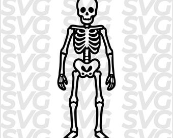 Skeleton SVG Halloween, Spooky Skeleton DXF, Human Skeleton, Halloween Laser Cut File, CNC Engraving, Cricut Cut File
