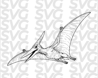 Pteranodon SVG DXF file | Pterosaur line art | Pterosaur dinosaur | Laser engraving file | CNC laser cutting file