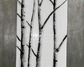 Winter Aspen Fused Glass Wall Art