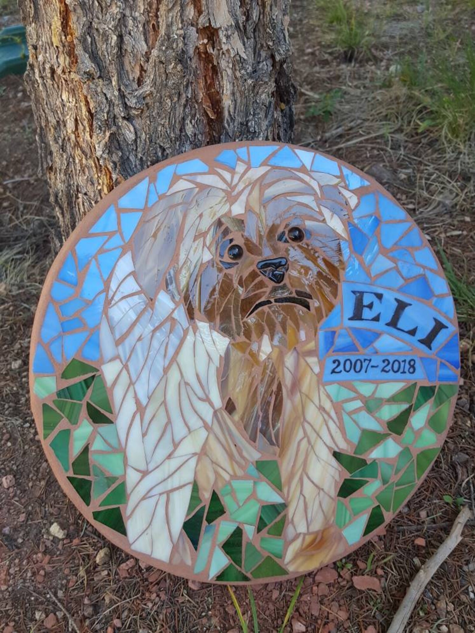 Pet Memorial Stepping Stone Etsy