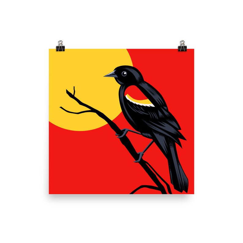 Red-winged Blackbird Bird Art Print, Backyard Birds, North American ...