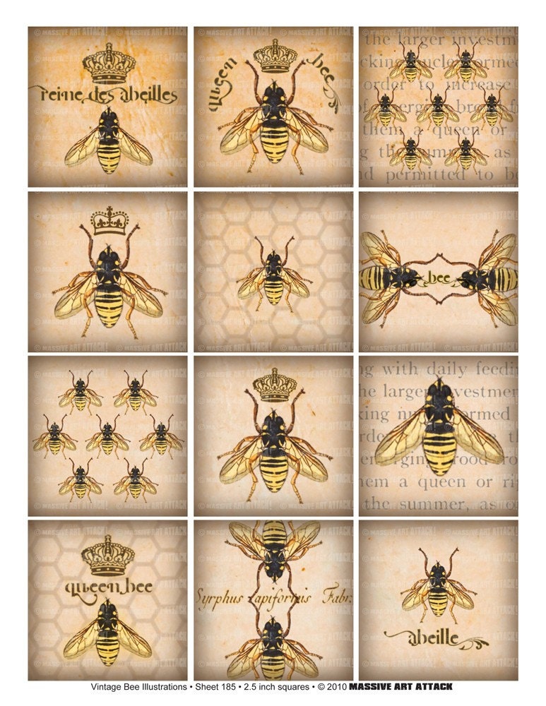 Bee Illustrations . Digital Collage Sheet 185 . Vintage Beekeeping Text ...