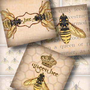 Bee Illustrations . Digital Collage Sheet 185 . Vintage Beekeeping Text . 2.5 inch squares