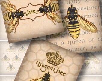Bee Illustrations . Digital Collage Sheet 185 . Vintage Beekeeping Text . 2.5 inch squares