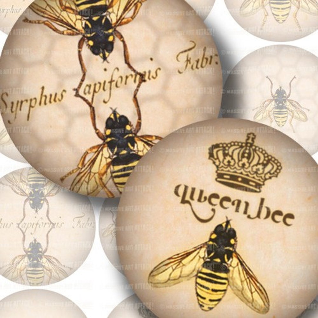 Bee Illustrations With Vintage Beekeeping Text . Digital Collage Sheet ...