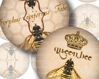 Bee Illustrations with Vintage Beekeeping Text . Digital Collage Sheet 181 . 2.5 inch circles