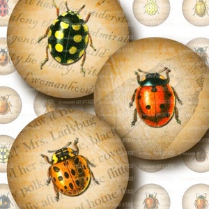 Ladybug Illustrations with Vintage Text  & Leaf Skeletons . Digital Collage Sheet 189 . 1 inch circles
