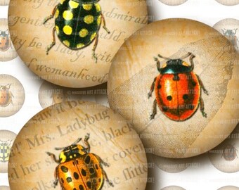 Ladybug Illustrations with Vintage Text  & Leaf Skeletons . Digital Collage Sheet 189 . 1 inch circles