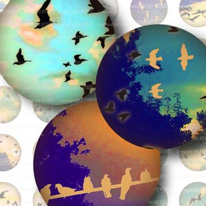 May include: A collection of circular art prints featuring birds in flight and perched on a wire. The backgrounds showcase gradients of blue, orange, and teal, with silhouettes of birds against the sky. The text "MASSIVE ART ATTACK!" is visible.