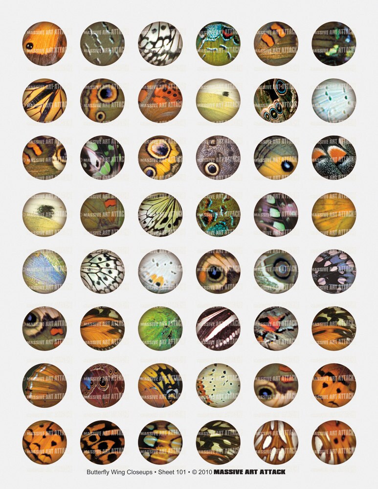 Butterfly Wings, Closeup . Digital Collage Sheet 201 . 12 Mm Circles - Etsy
