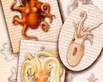 Octopus & Squid Illustrations . 20,000 Leagues Under the Sea . Digital Collage Sheet 188 . Full page (8.5 x 11 inches)