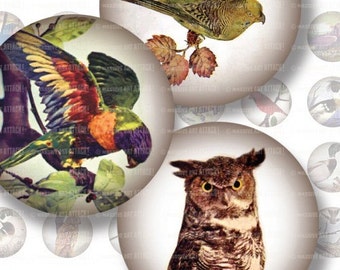 Birds . Digital Collage Sheet 113 . 1 inch circles