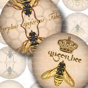 Bee Illustrations with Vintage Beekeeping Text . Digital Collage Sheet 192 . 1.5 inch circles