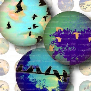 Birds on Vintage Skies . Digital Collage Sheet 191 . 1 inch circles