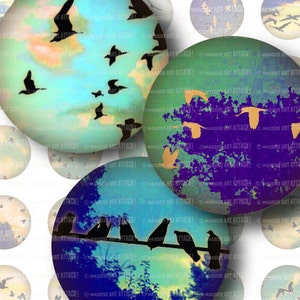 Birds on Vintage Skies . Digital Collage Sheet 191 . 1 inch circles image 1